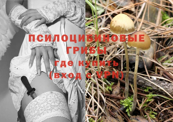 Альфа ПВП Баксан