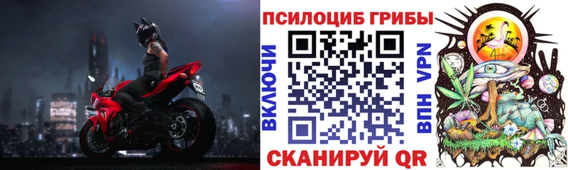 Псилоцибиновые грибы мицелий  что такое наркотик  OMG ссылка  Гдов 